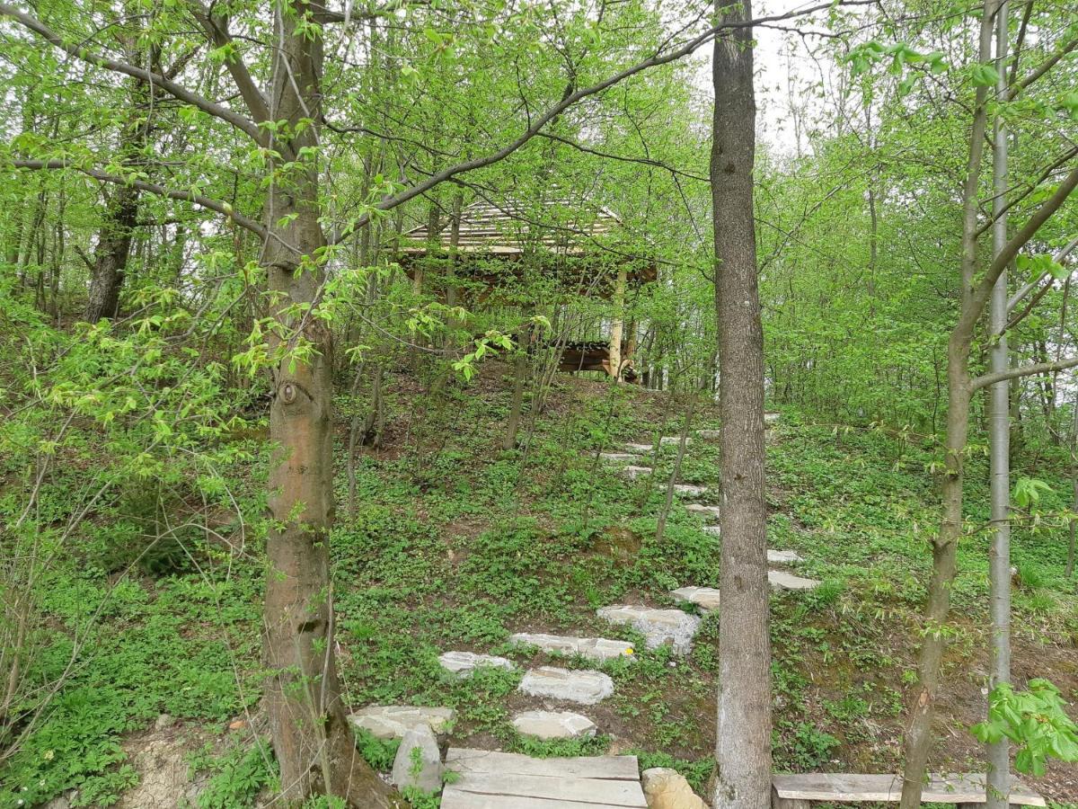 Domek Na Wzgorzu "Wilk" Swiatkowa Mala Buitenkant foto