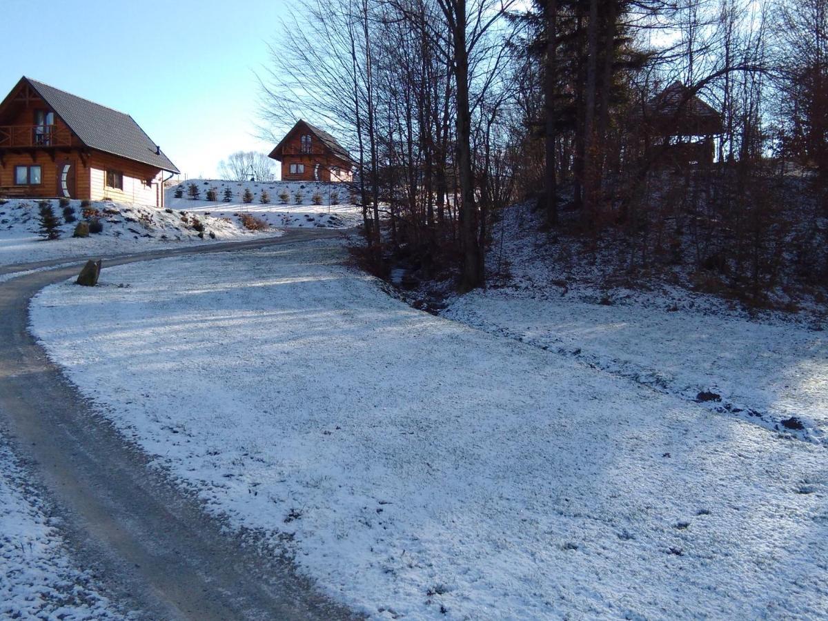 Domek Na Wzgorzu "Wilk" Swiatkowa Mala Buitenkant foto
